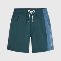 Retro 14'' Swim Shorts | Alma Steel Colour Block