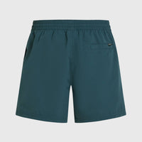 Retro 14'' Swim Shorts | Alma Steel Colour Block