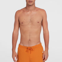 Cali 16'' Swim Shorts | Cinnamon Stick