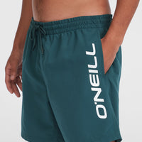 Cali 16'' Swim Shorts | Alma Steel