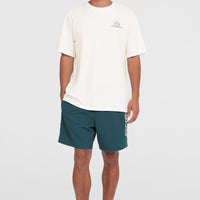 Cali 16'' Swim Shorts | Alma Steel