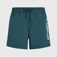 Cali 16'' Swim Shorts | Alma Steel