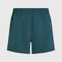 Cali 16'' Swim Shorts | Alma Steel