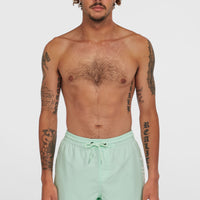 Cali 16'' Swim Shorts | Mildrew Mint