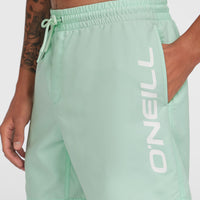 Cali 16'' Swim Shorts | Mildrew Mint