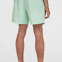 Cali 16'' Swim Shorts | Mildrew Mint