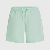 Cali 16'' Swim Shorts | Mildrew Mint