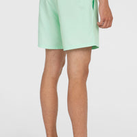 Original Cali 16'' Swim Shorts | Mildrew Mint