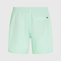 Original Cali 16'' Swim Shorts | Mildrew Mint