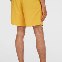 O’Neill Vert 16'' Swim Shorts | Golden Haze