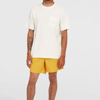 O’Neill Vert 16'' Swim Shorts | Golden Haze