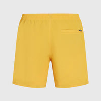 O’Neill Vert 16'' Swim Shorts | Golden Haze