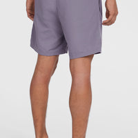 O’Neill Vert 16'' Swim Shorts | Storm