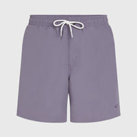 O’Neill Vert 16'' Swim Shorts | Storm