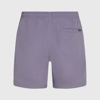 O’Neill Vert 16'' Swim Shorts | Storm