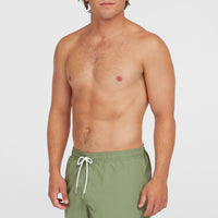 O’Neill Vert 16'' Swim Shorts | Avery Fern