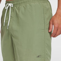 O’Neill Vert 16'' Swim Shorts | Avery Fern