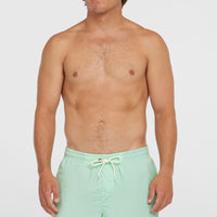 O’Neill Vert 16'' Swim Shorts | Mildrew Mint