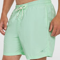 O’Neill Vert 16'' Swim Shorts | Mildrew Mint