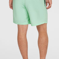 O’Neill Vert 16'' Swim Shorts | Mildrew Mint