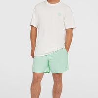 O’Neill Vert 16'' Swim Shorts | Mildrew Mint