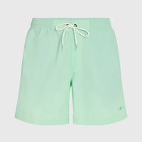 O’Neill Vert 16'' Swim Shorts | Mildrew Mint