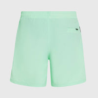 O’Neill Vert 16'' Swim Shorts | Mildrew Mint