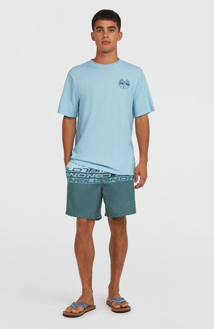 Cali Stripe 16'' Swim Shorts | Blue Upside Down