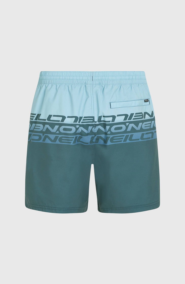 Cali Stripe 16'' Swim Shorts | Blue Upside Down