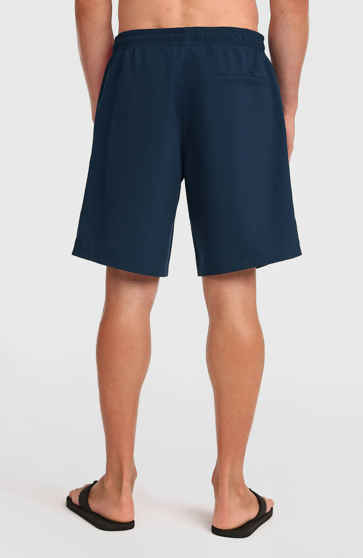 O'Neill Retro 19'' Swimshorts | English Evening Colour Block