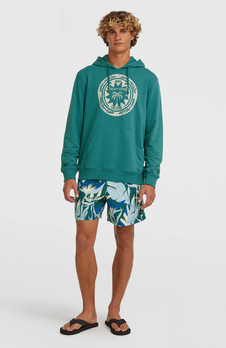 O'Neill Print 16'' Swimshorts | Blue Tropicana Big