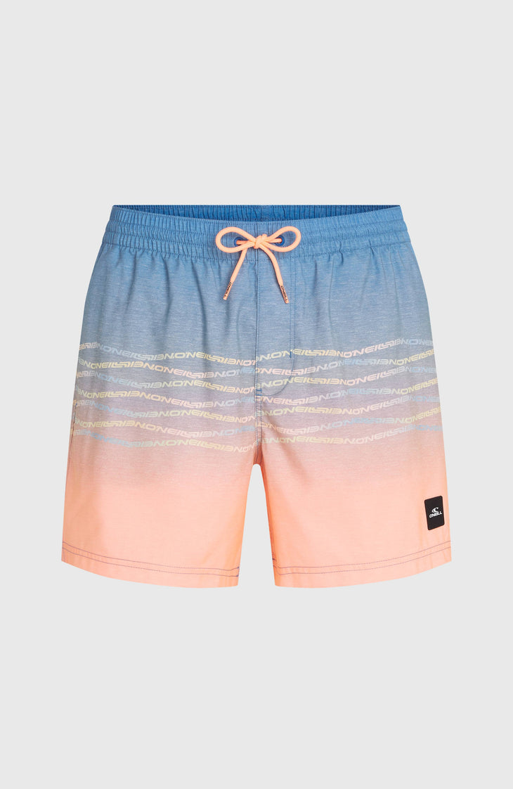 O'Neill First 15'' Swimshorts | Blue Heritage O'Neill Flip