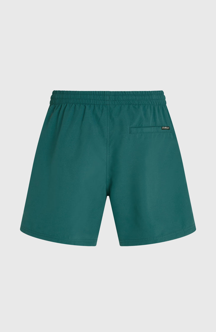 O'Neill Logo 16'' Swimshorts | Botanical Heat