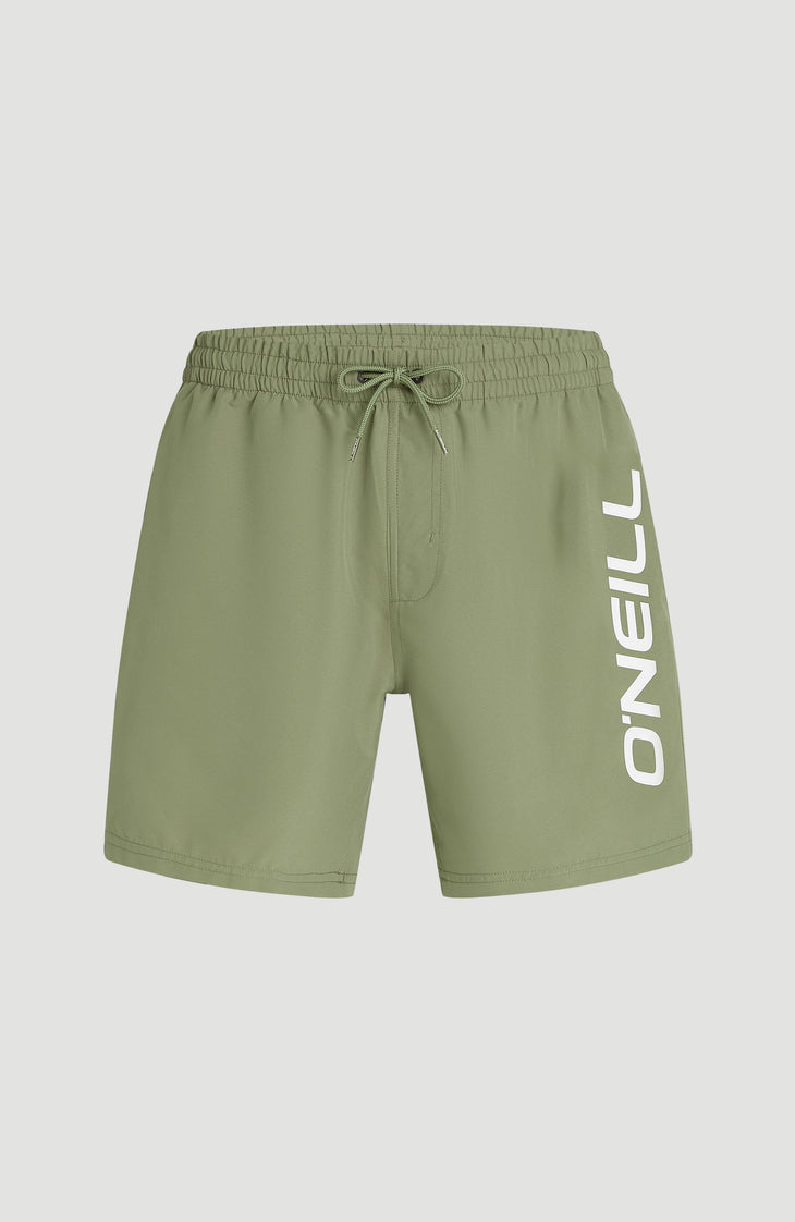 O'Neill Logo 16'' Swimshorts | Avery Fern
