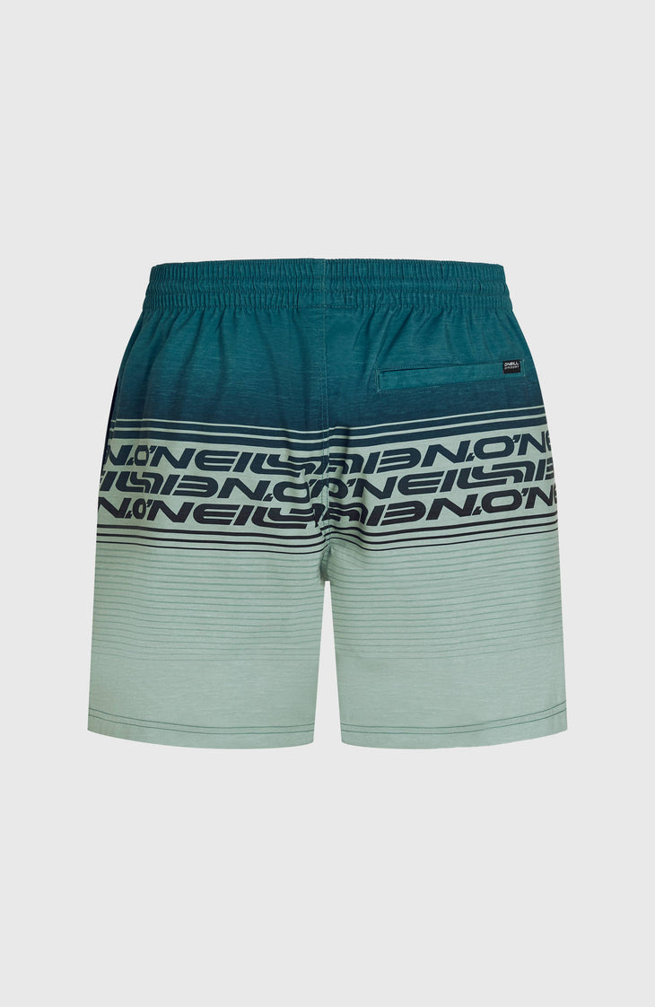 Logo Stripe 16'' Swimshorts | Green Heritage Stripe
