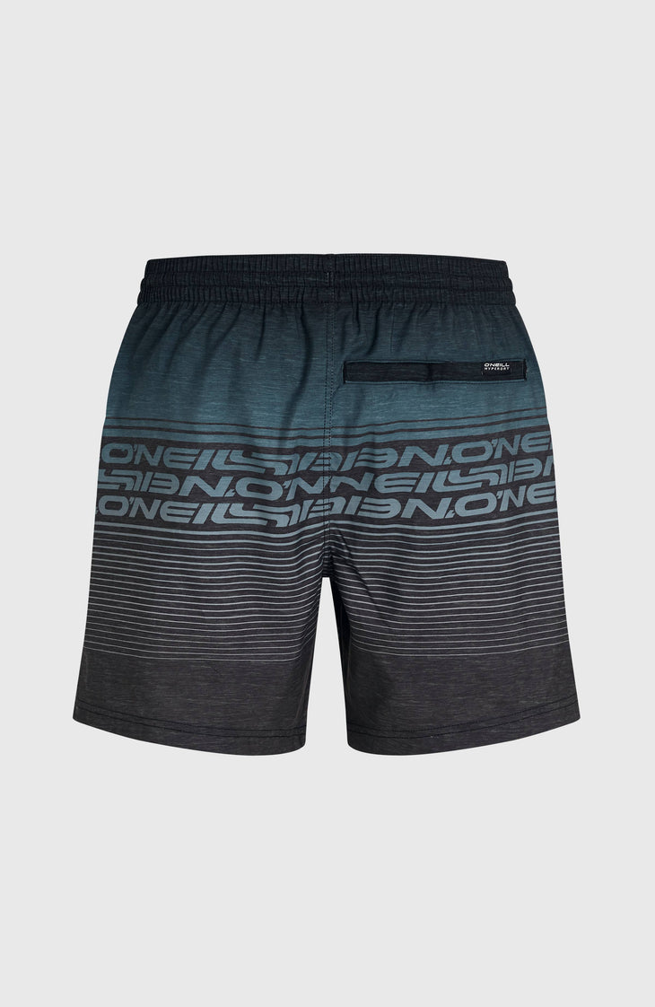 Logo Stripe 16'' Swimshorts | Black Out Heritage O'Neill Stripe