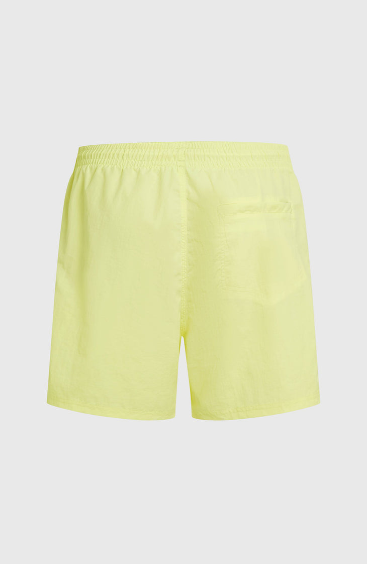O'Neill Vert 16" Swimshorts | Rainforest Dew