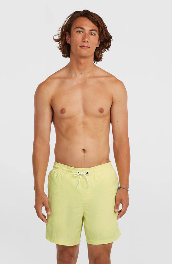 O'Neill Vert 16" Swimshorts | Rainforest Dew