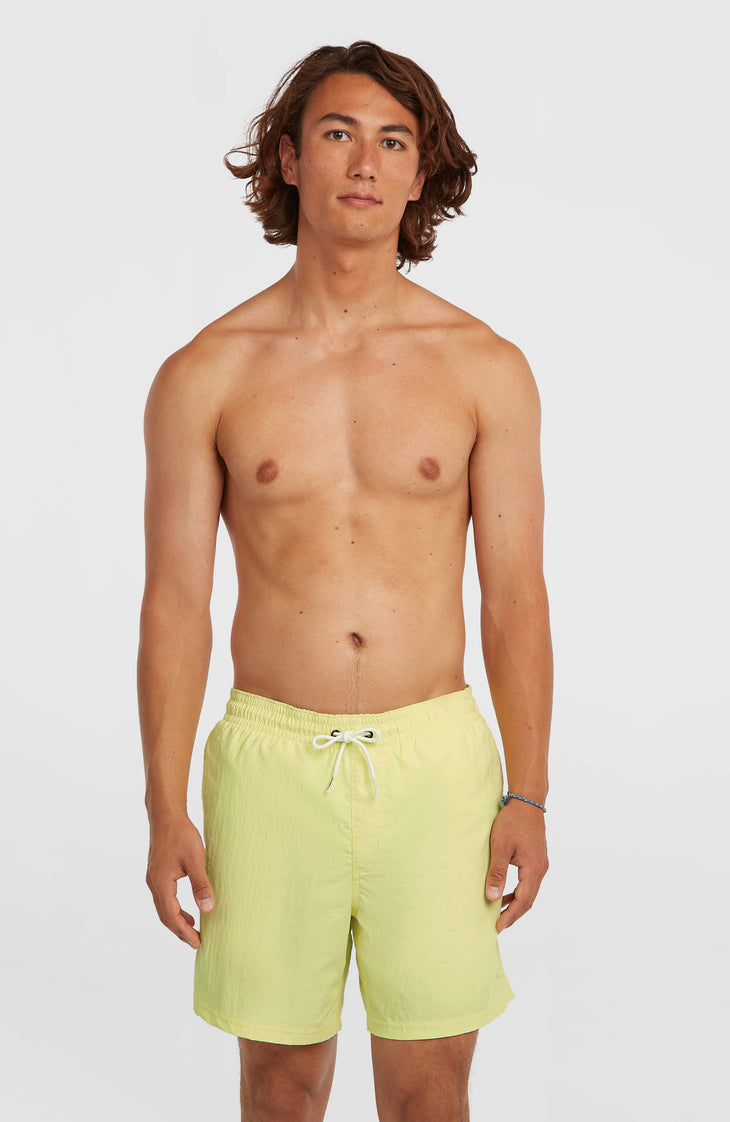 O'Neill Vert 16" Swimshorts | Rainforest Dew