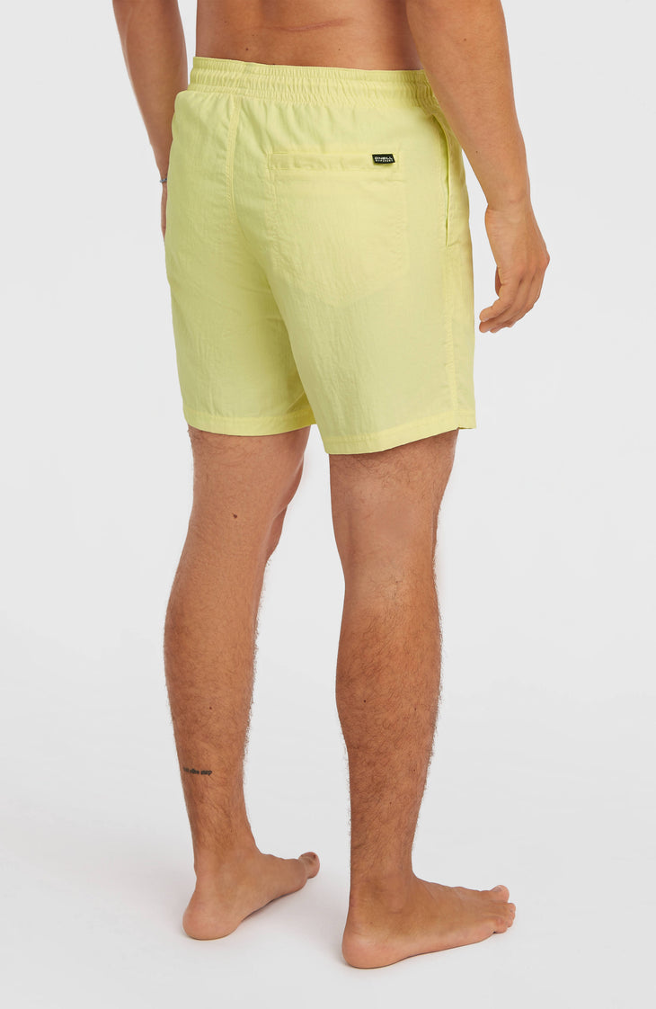 O'Neill Vert 16" Swimshorts | Rainforest Dew