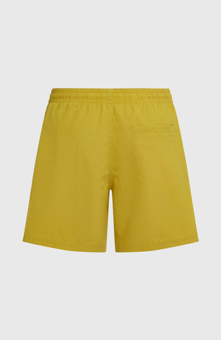 O'Neill Vert 16'' Swimshorts | Angel Fern