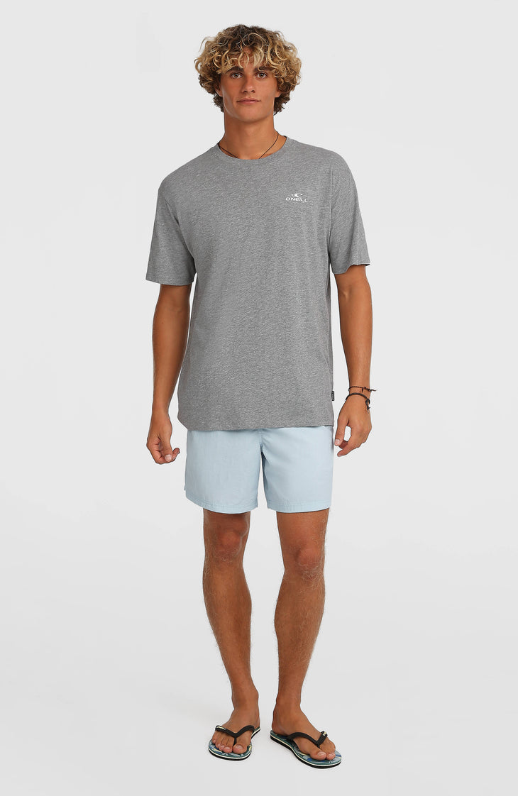 O'Neill Vert 16'' Swimshorts | Spindle