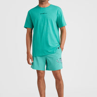 Sunface T-Shirt | Sea Green
