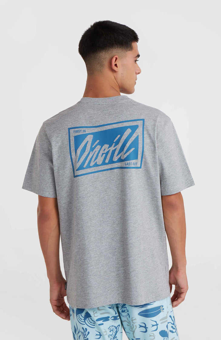 O'Neill Beach Graphic T-Shirt | Silver Melee