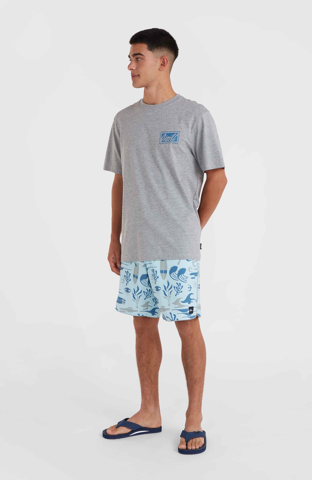 O'Neill Beach Graphic T-Shirt | Silver Melee