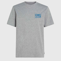 O'Neill Beach Graphic T-Shirt | Silver Melee