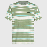 Mix and Match Stripe T-Shirt | Green Bold Stripes