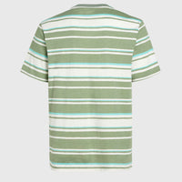 Mix and Match Stripe T-Shirt | Green Bold Stripes