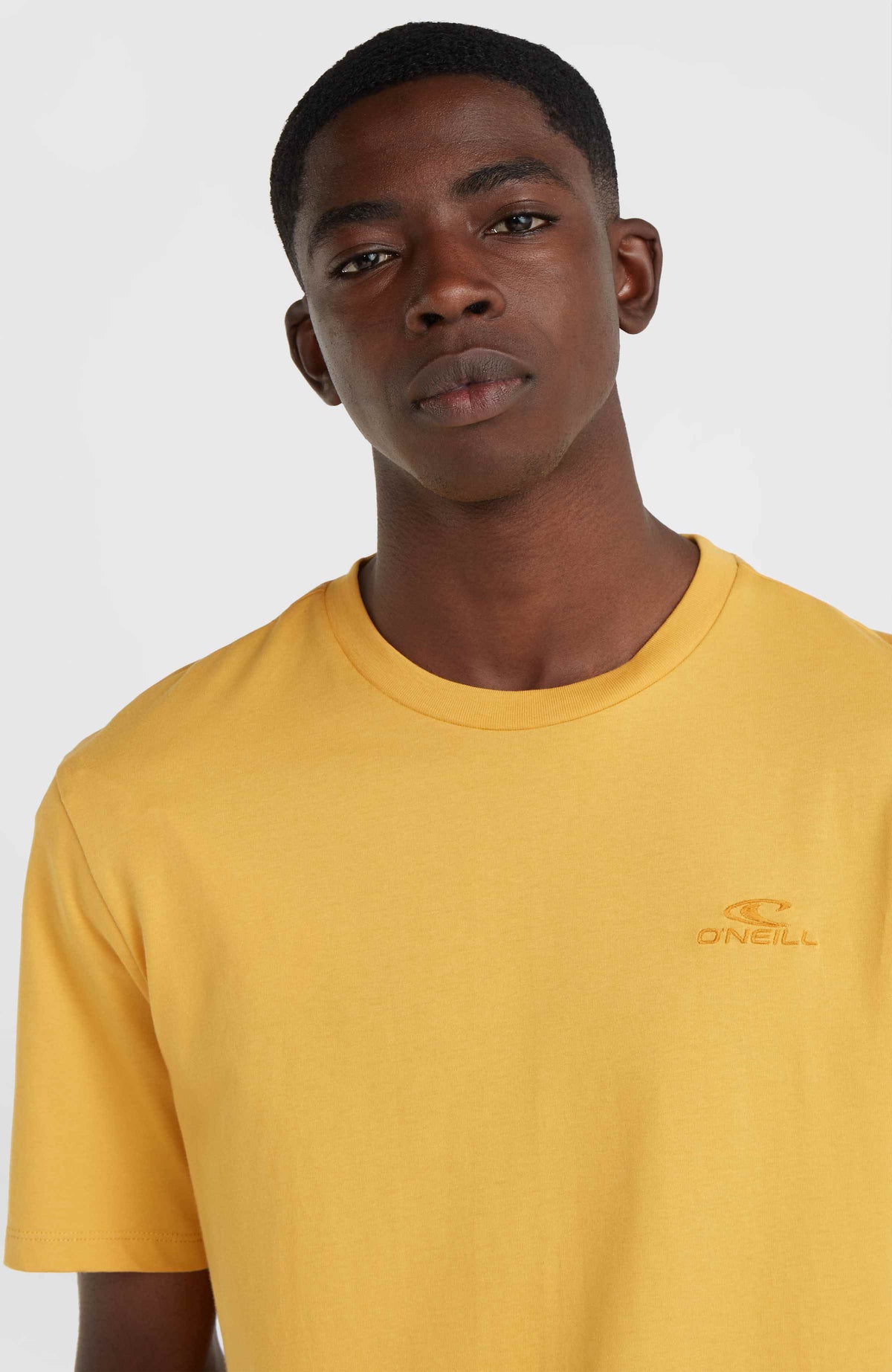 O'Neill Small Logo T-Shirt | Golden Haze