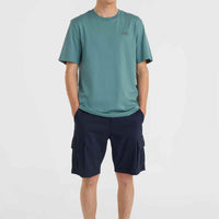 O'Neill Small Logo T-Shirt | North Atlantic